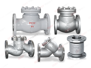 Check valve/filter series
