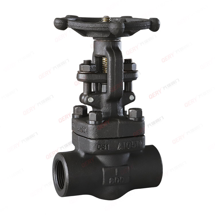 Forged steel valve series
