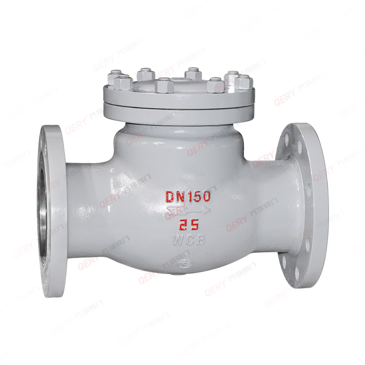 Check valve/filter series