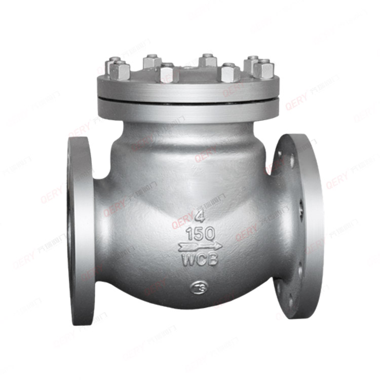Check valve/filter series