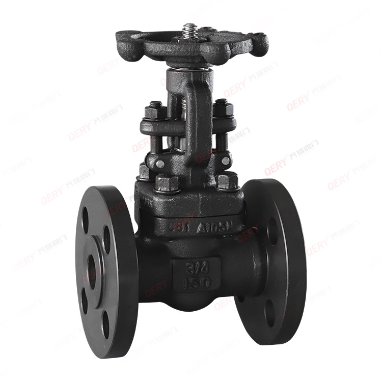 Forged steel valve series