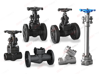 Forged steel valve series