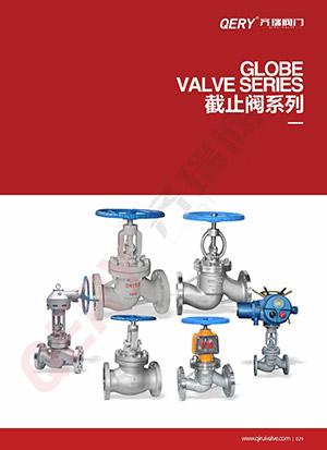 Globe valve series